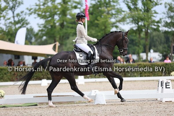 Klieveers Rocky Cordes de Mendoza