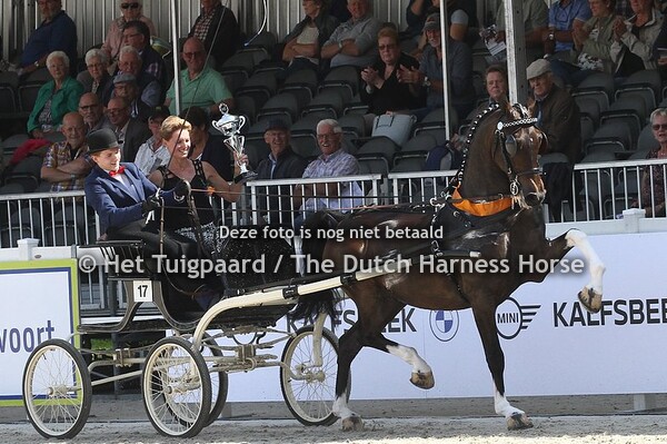 Tuigpaard van het Jaar 2021: Renvyle Imondro