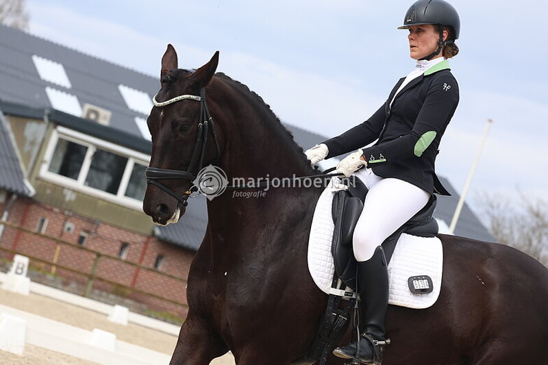 11_HAAKSBERGEN_DRESSUUR_VANAF11.15_23MRT2025