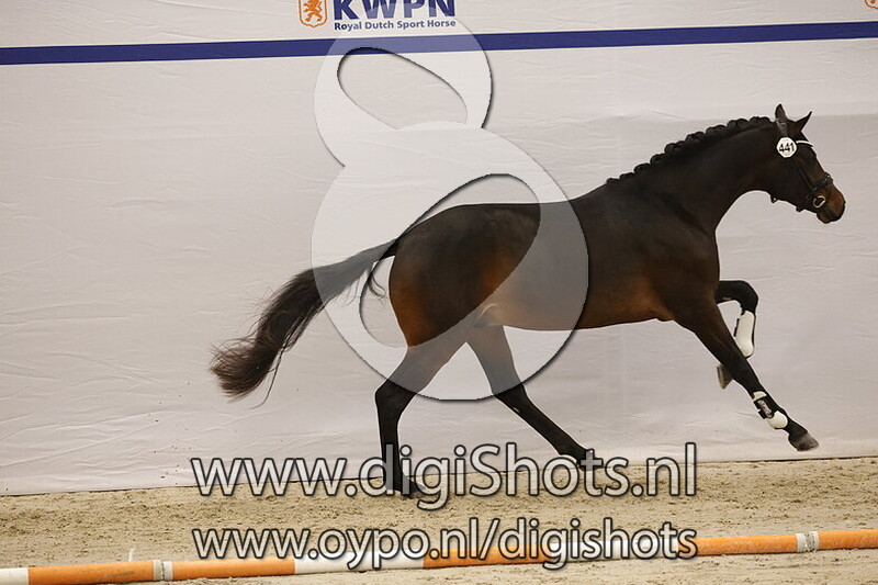 Superstar Sollenburg v. McLaren