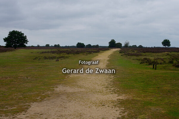 Ermelosche Heide 13-8-2025