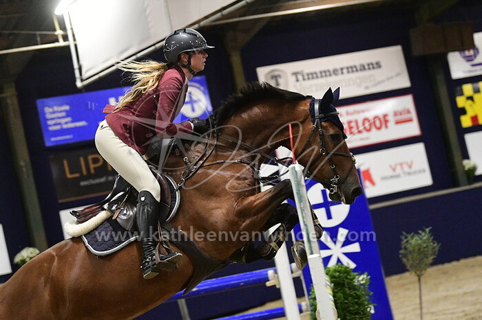 Sacha de Wit - Mimosa