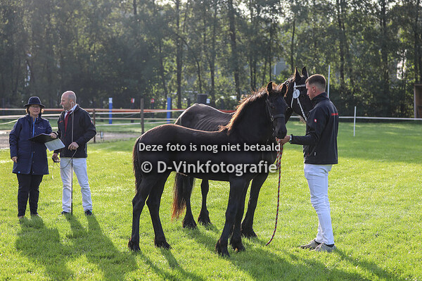 01. Zorro van Plexat