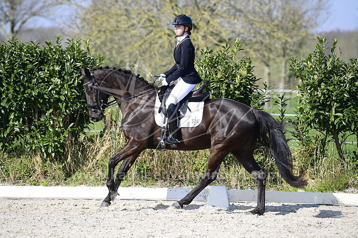 Tamara Vos - Notre Dame