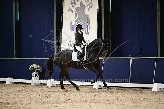 Indie Schniermanni - Orion