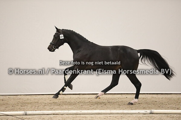 384 Ferdinand x Ferro