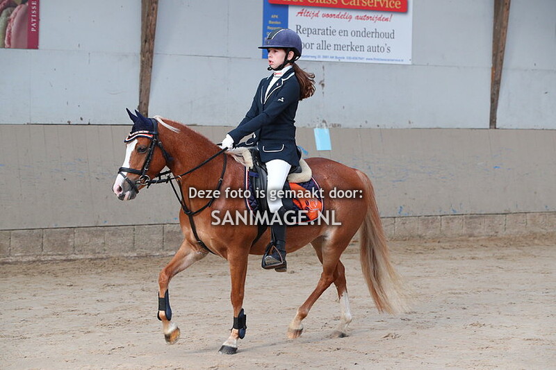 Zilfia's Hoeve Springen Pony's 22-10-2023 50 cm