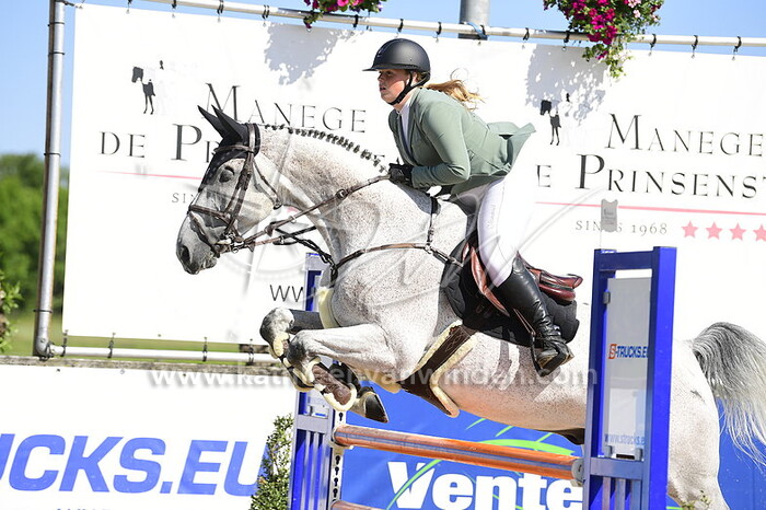 Romy Metselaar - Heros