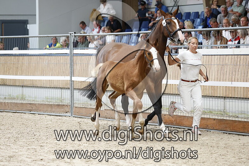 Uva van Boer met Lust - 032