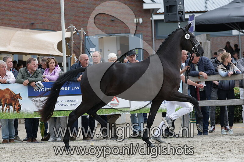 Sara Melia v. Glamourdale