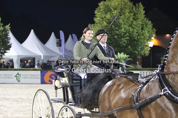 Ommen tuigpaarden avond