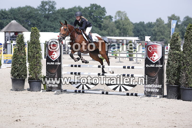 Anoek van der Pluijm