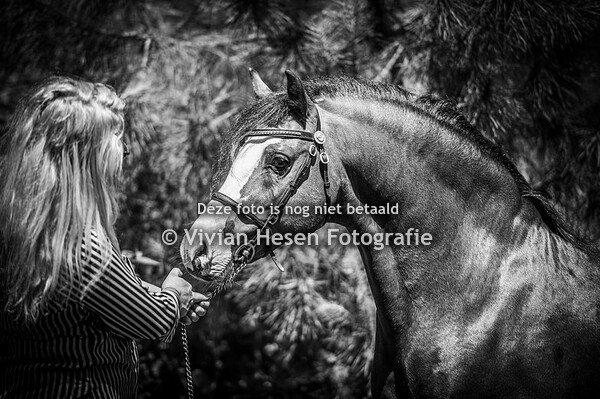 Altingshof en Shamrocklake