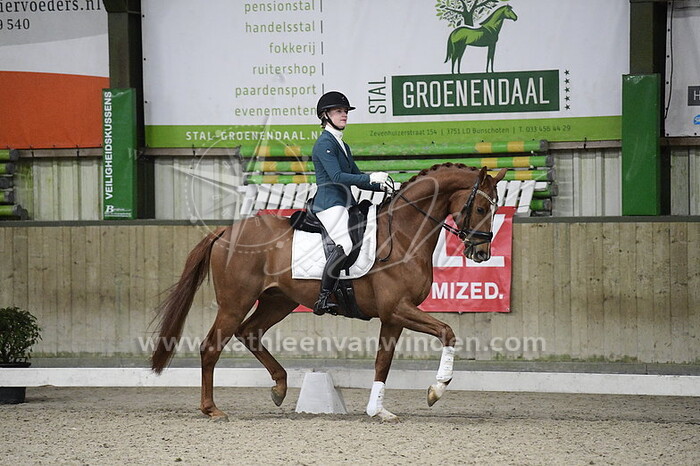 Eline Anker - Sans Souci's Vitus