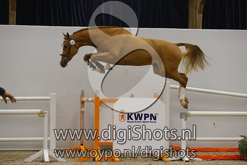 Sniper van d Hemelse Breedte v. Untouchable