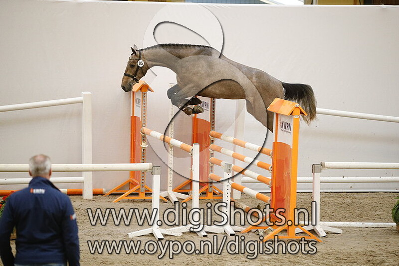 095 Little London SB v. Emir R