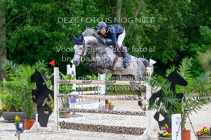 17 Klassiek paarden 1.35 m MB-ZB
