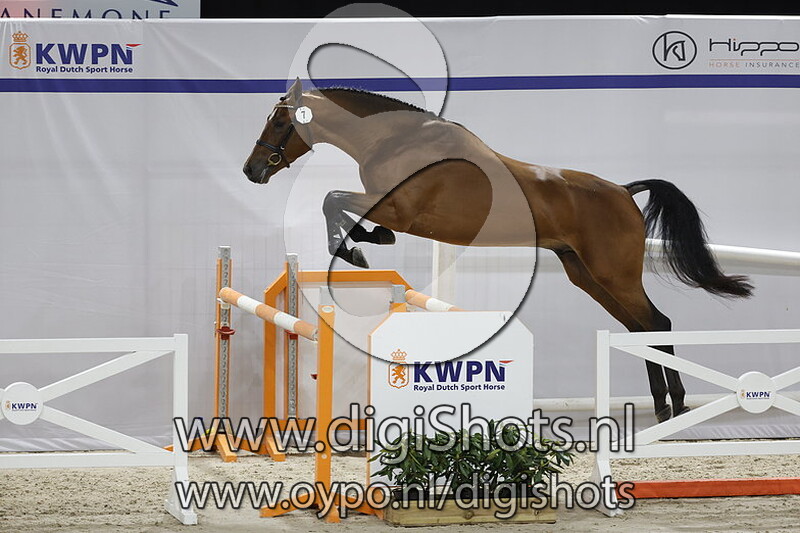 OK Macoemba v. Arezzo VDL