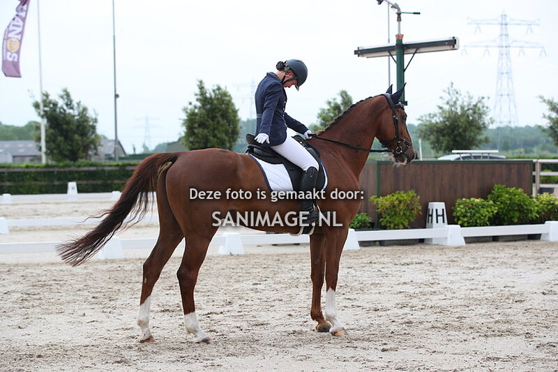 Nationaal scholenconcours 22-05-2024 Dressuur Ring 2 10.00 - 11.00 uur