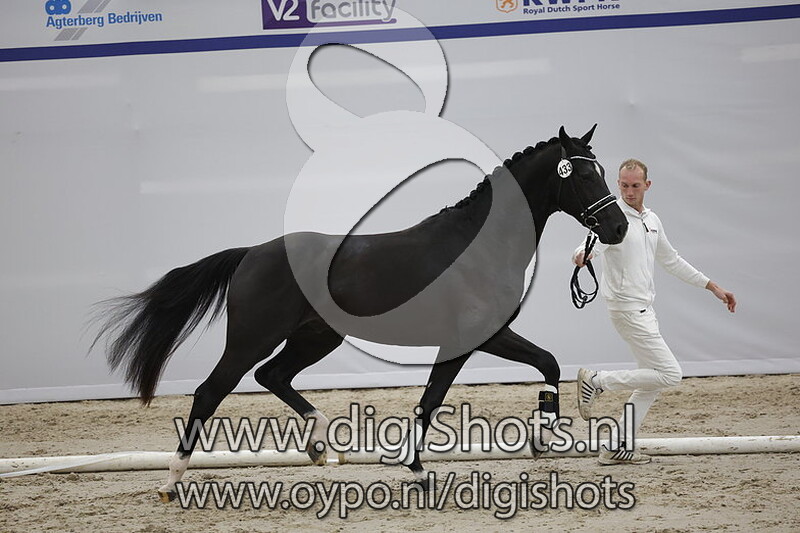 Patijn v. Just Wimphof - 433