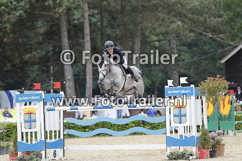 Dennis van den Brink