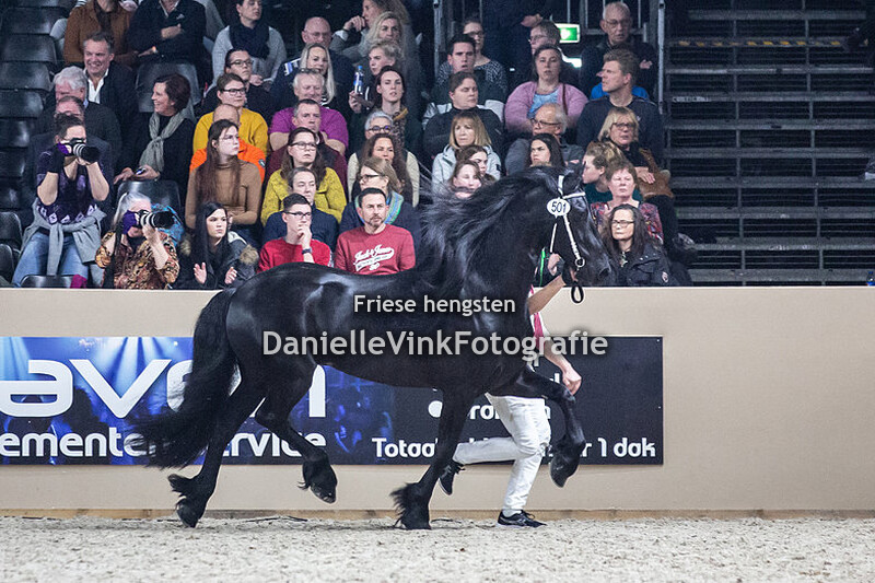 Hengstenkeuring 2020 Tiede 501