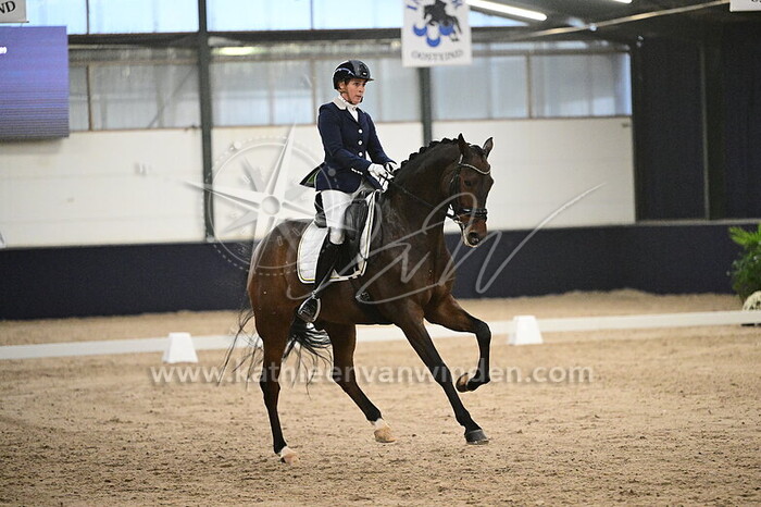 Mirelle van Kemenade-Witlox - Liquido