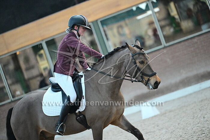 Tika Brandenburg - Springhill George