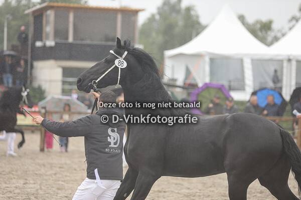 88. Onyx-Ylse van 't Kempische Hof