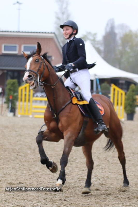 Hippisch Nieuwleusen Z ZZ DE