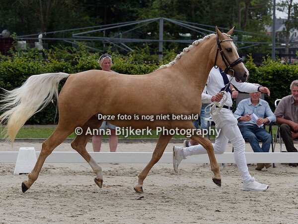 WPBR Keuring 26-07-2025