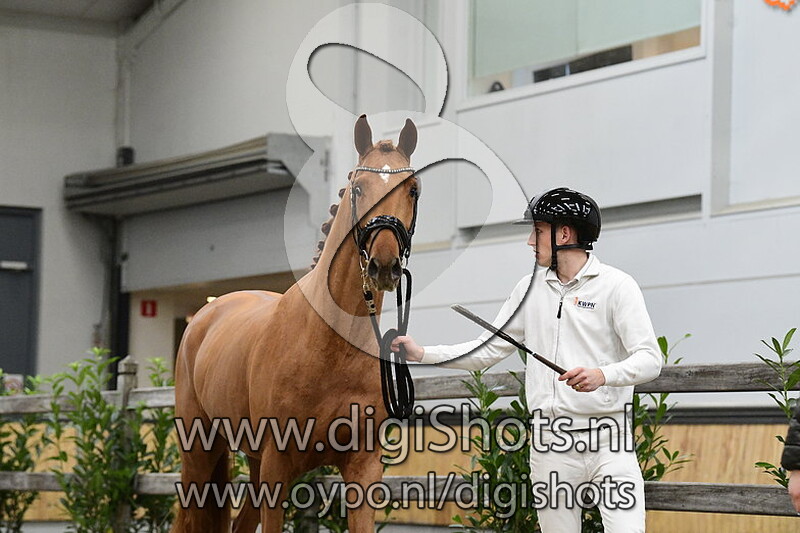 Romeo  E v. Blue Hors Zackerey - 308