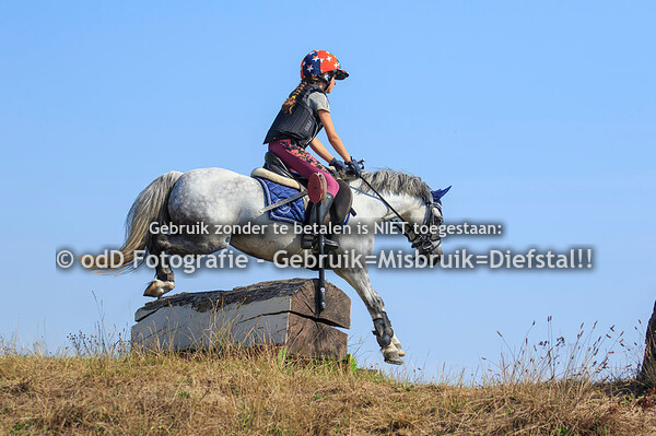 Training Margo, Groep 3, 9:15