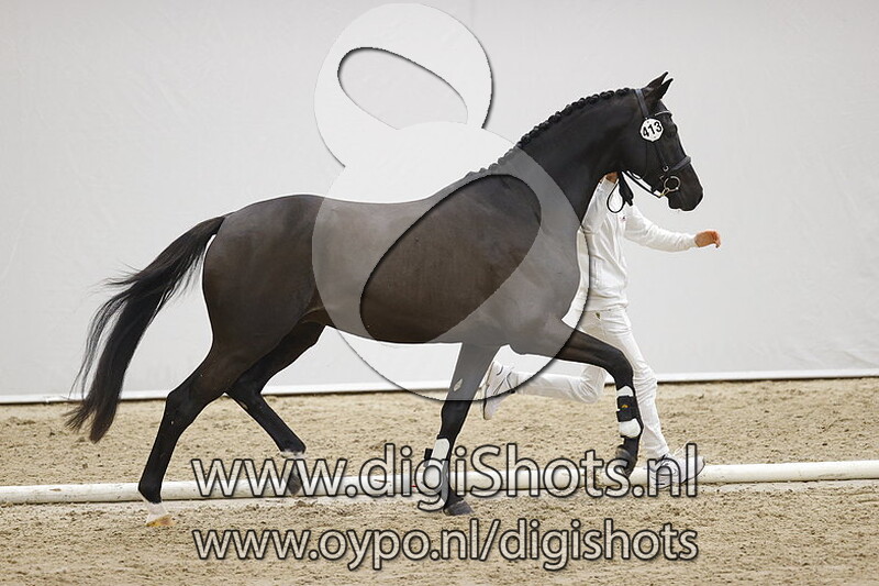 Netallic v. Franklin