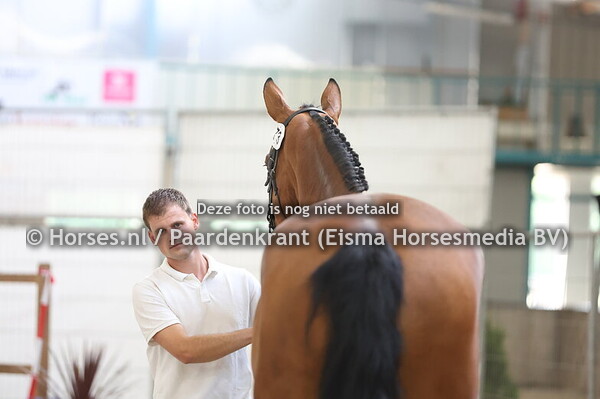 73 Simply The Best BSH (Bacardi VDL x New Radical v. Emir)