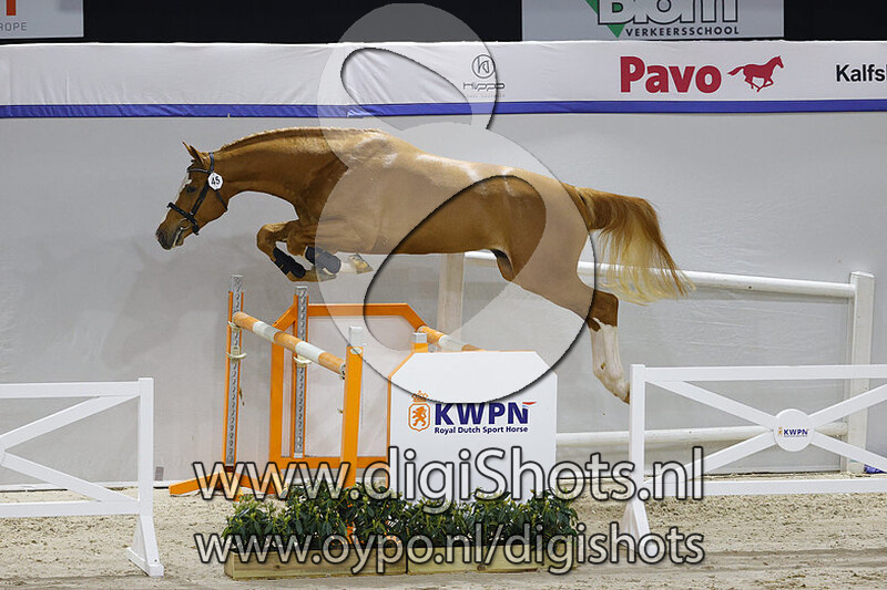 Corizal Z v. Comilfo Plus Z