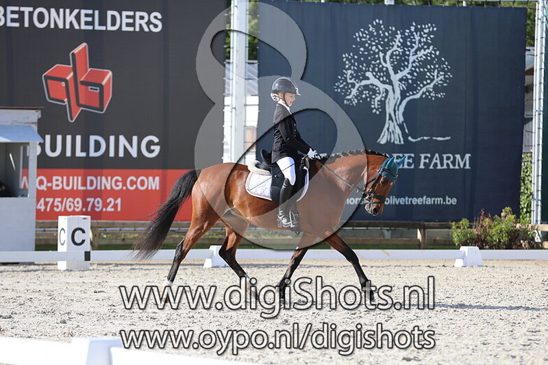 Blits van Blommerschot