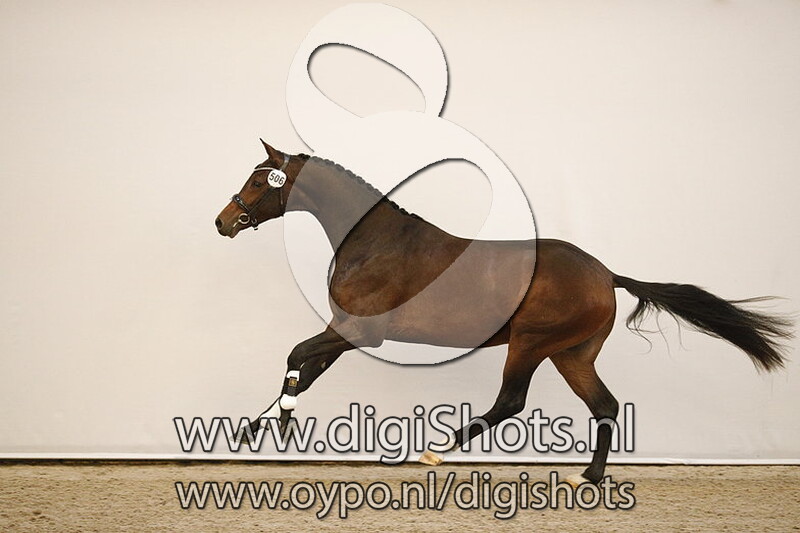 Midnight Rock v. Indian Rock