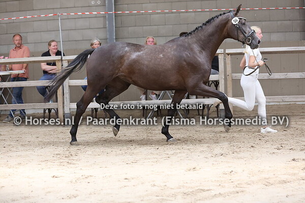 50 Symfony vd Nothside (Ziyech x Goniek v. Johnson)