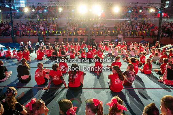 20250511 [DES] DES turnshow