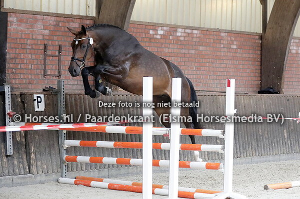 28-06-23 STB en IBOP Varsseveld