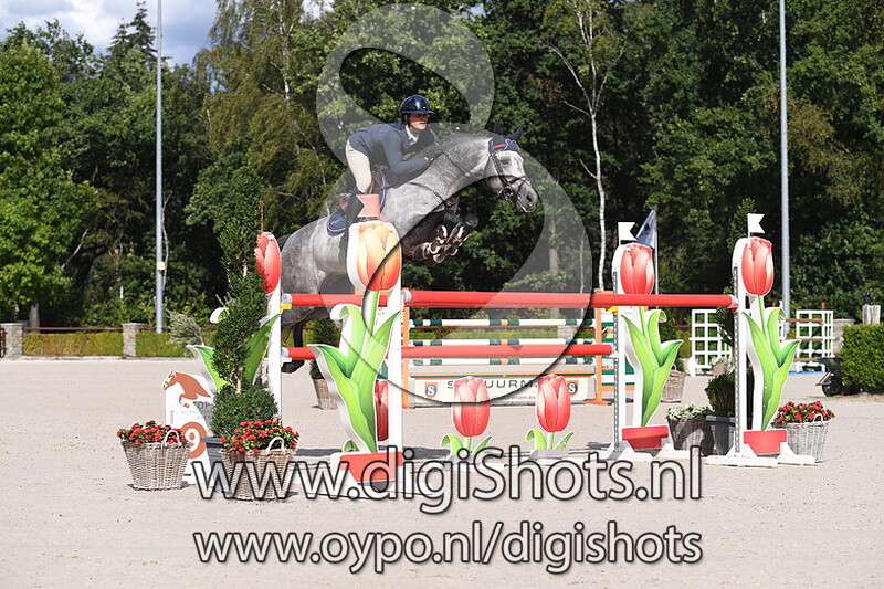 I like v_h heerenhuijs