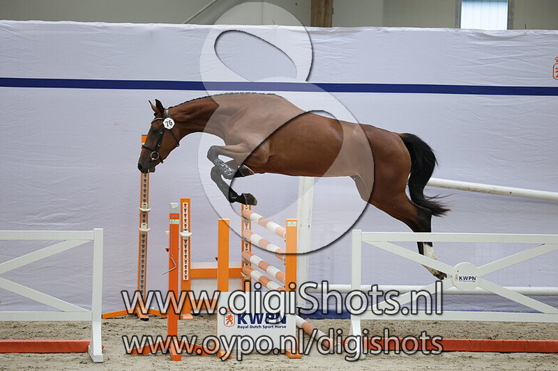 Sanne v Veecaten v. Grandorado TN