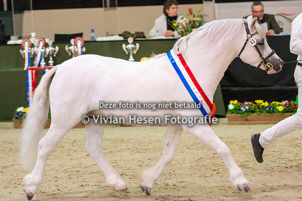 Sectie A (Vrijdag en Zaterdag)