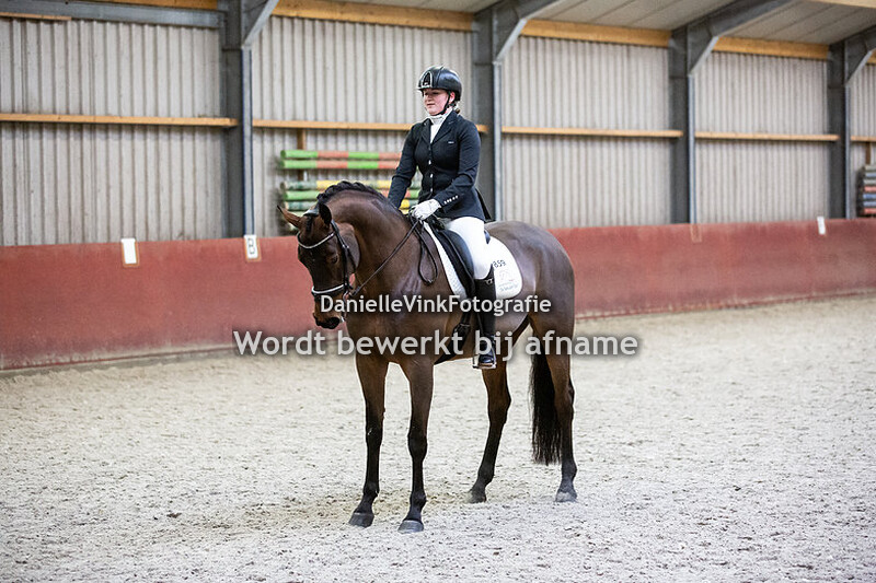 L2 paarden (vrijdag)