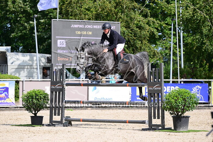 Marwin van den Nieuwenhuijzen - Donna Z