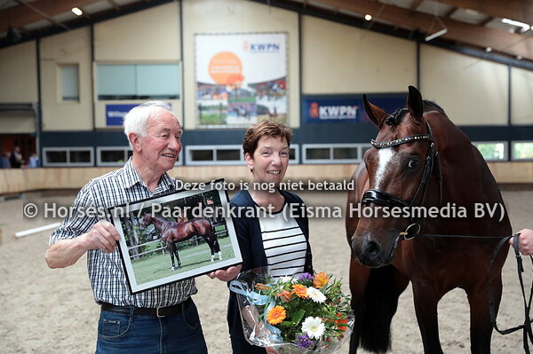 50 King van het Haarbosch v Spielberg x Florencio