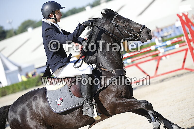 Cedric-Niklas Triebsch