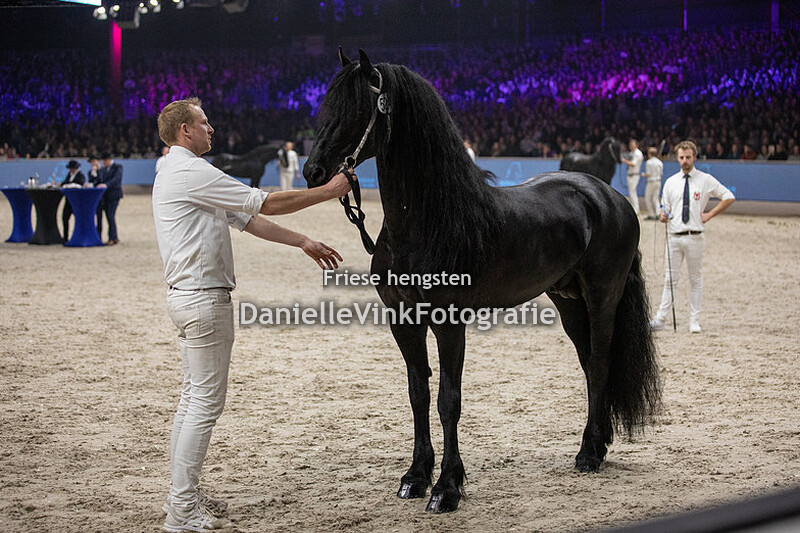 Hengstenkeuring 2024 Herre 524