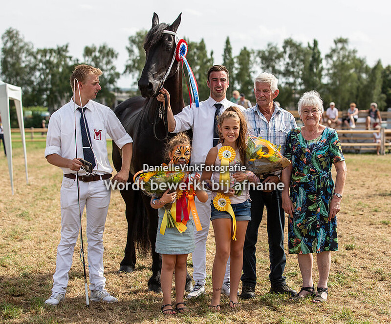 kampioenen en reservekampioenen
